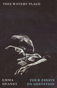 This Watery Place: Four Essays on Gestation