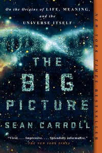 Big Picture: On the Origins of Life, Meaning, and the Universe Itself