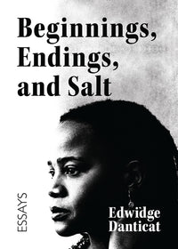 Beginnings, Endings, and Salt: Essays on a Journey Through Writing and Literature