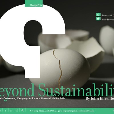 Beyond Sustainability: Why an All-Consuming Campaign to Reduce Unsustainability Fails