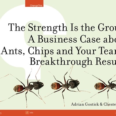 The Strength Is the Group: A Business Case about Ants, Chips and Your Team's Breakthrough Results