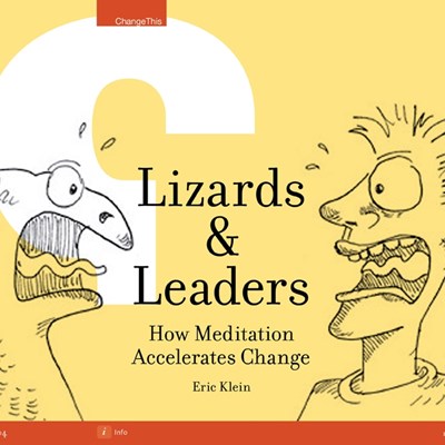 Lizards & Leaders: How Meditation Accelerates Change