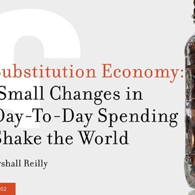The Substitution Economy: How Small Changes in Our Day-To-Day Spending Can Shake the World.