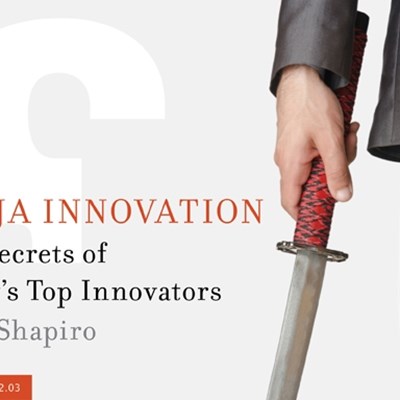 Ninja Innovation: The Secrets of Today's Top Innovators 