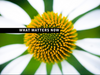 What Matters Now? An eBook Conceived by Seth Godin
