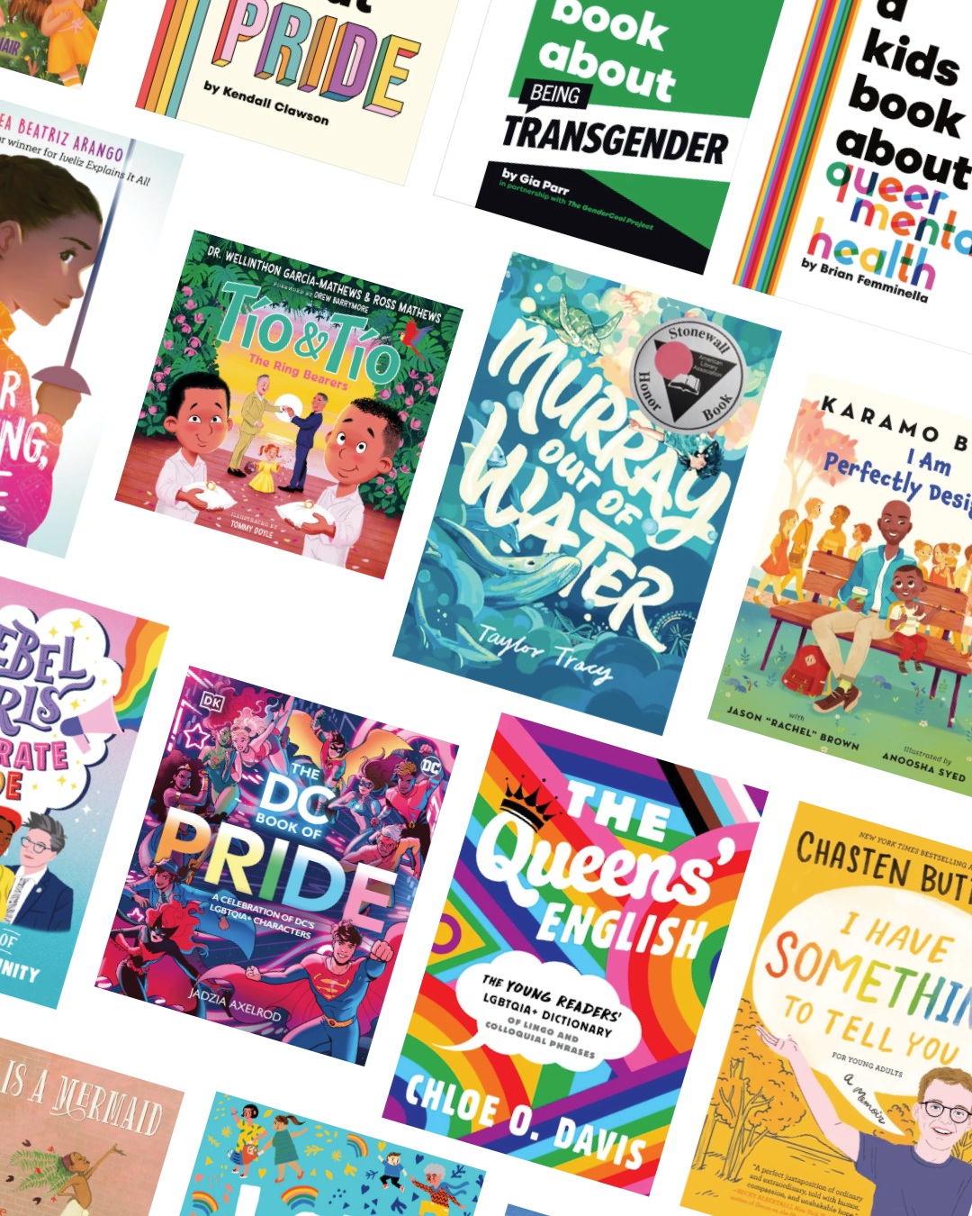LGBTQIA+ Juvenile Fiction