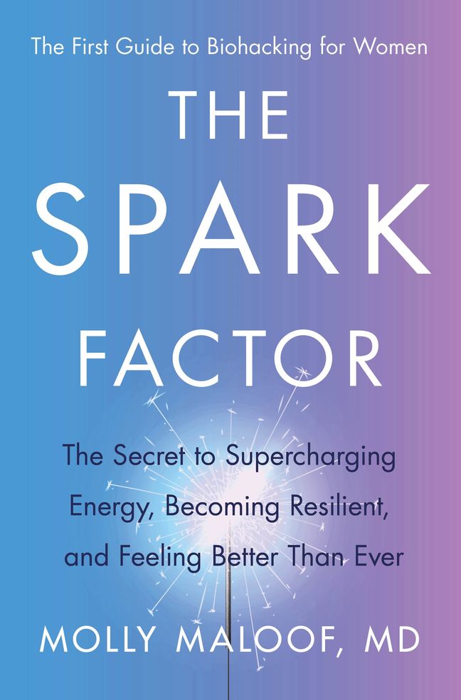 Spark Factor: The Secret to Supercharging Energy, Becoming Resilient, and Feeling Better Than Ever