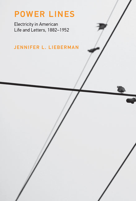 Power Lines: Electricity in American Life and Letters, 1882-1952