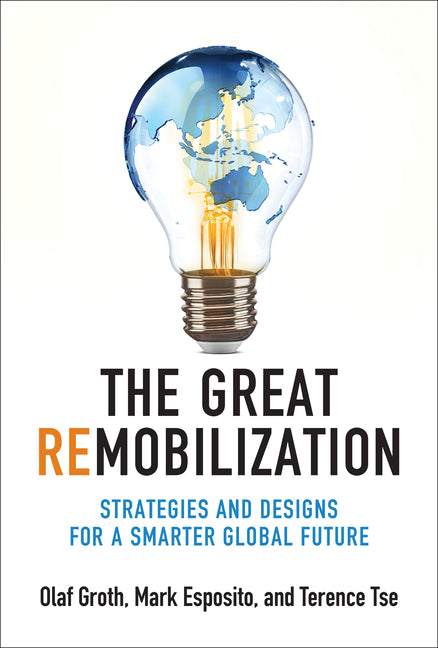 Great Remobilization: Strategies and Designs for a Smarter Global Future