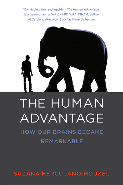 Human Advantage: How Our Brains Became Remarkable