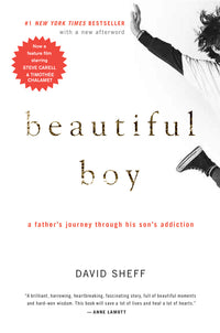 Beautiful Boy: A Father's Journey Through His Son's Addiction