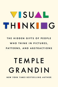 Visual Thinking: The Hidden Gifts of People Who Think in Pictures, Patterns, and Abstractions