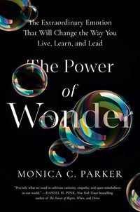 Power of Wonder: The Extraordinary Emotion That Will Change the Way You Live, Learn, and Lead