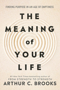 The Meaning of Your Life: Finding Purpose in an Age of Emptiness