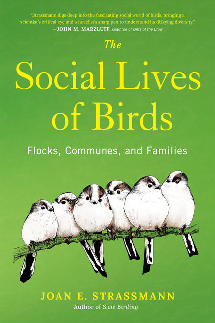 Social Lives of Birds: Flocks, Communes, and Families