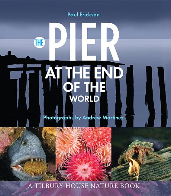 Pier at the End of the World