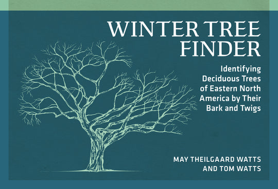 Winter Tree Finder: Identifying Deciduous Trees of Eastern North America by Their Bark and Twigs (Revised)