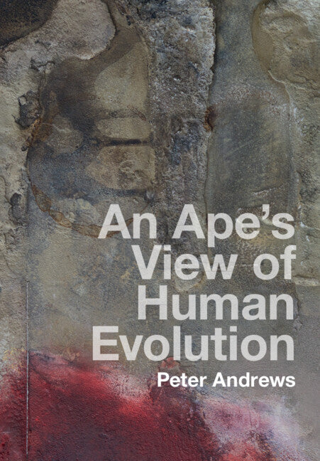 An Ape's View of Human Evolution