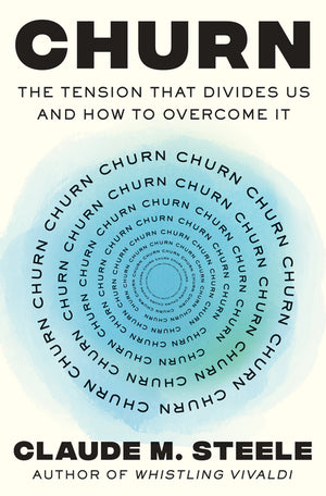 Churn: The Tension That Divides Us and How to Overcome It
