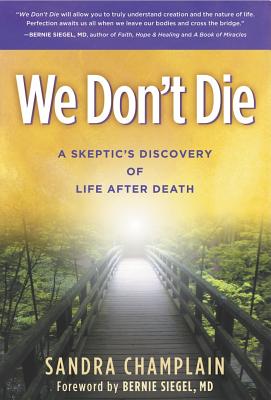 We Don't Die: A Skeptic's Discovery of Life After Death