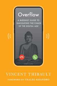 Overflow: A Buddhist Guide to Navigating the Chaos of the Digital Age
