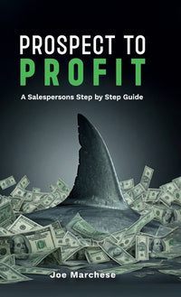 Prospect to Profit, A salespersons step by step guide