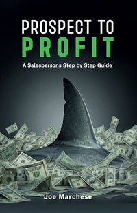 Prospect to Profit, A salespersons step by step guide