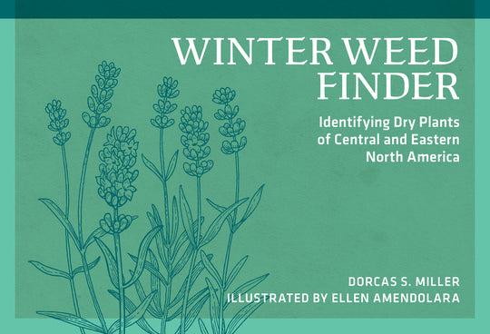 Winter Weed Finder: Identifying Dry Plants of Central and Eastern North America (Revised)