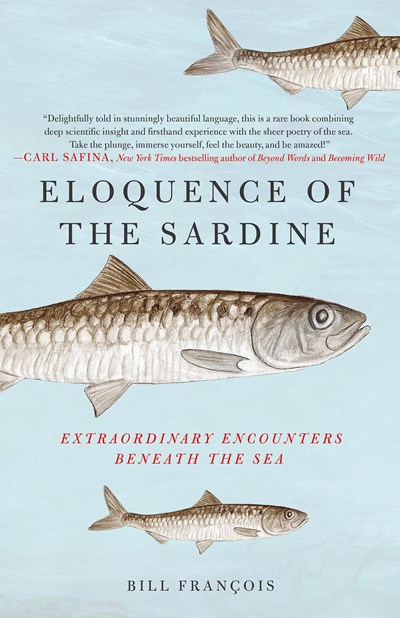 Eloquence of the Sardine: Extraordinary Encounters Beneath the Sea