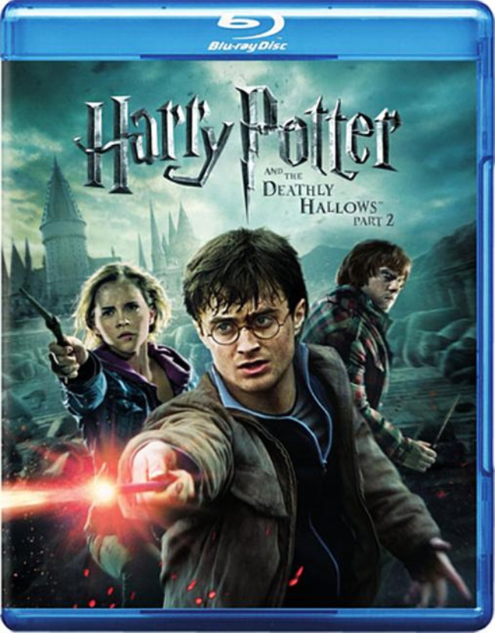 Harry Potter and the Deathly Hallows Part 2 (DVD & Digital Copy Included)