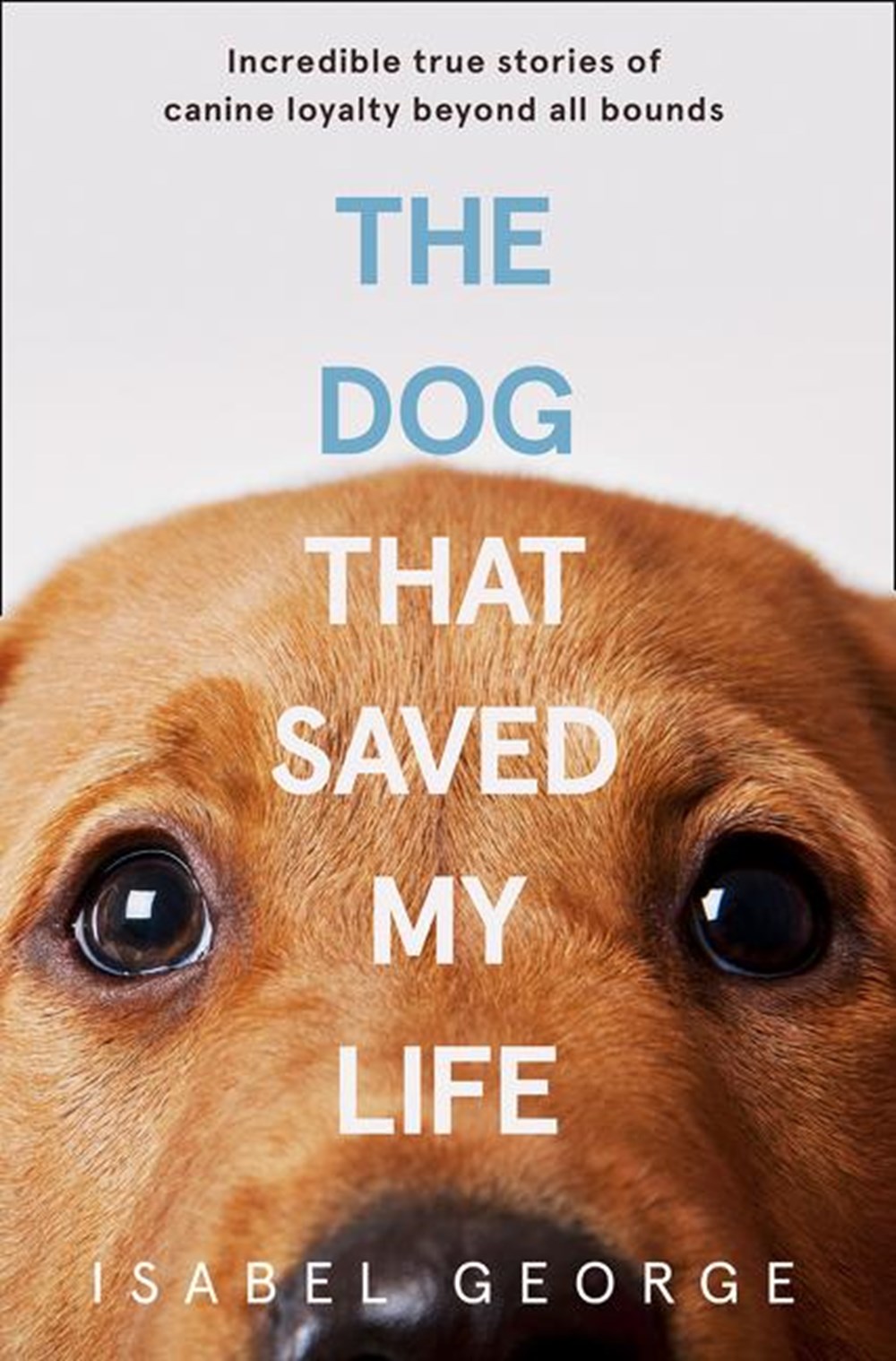 Dog That Saved My Life: Incredible True Stories of Canine Loyalty Beyond All Bounds