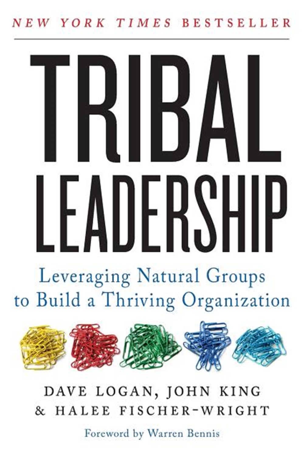 Tribal Leadership Leveraging Natural Groups to Build a Thriving Organization