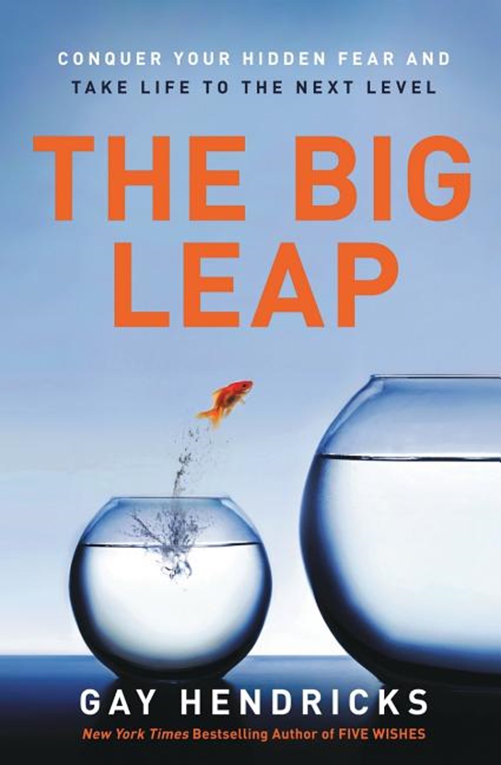 Big Leap: Conquer Your Hidden Fear and Take Life to the Next Level