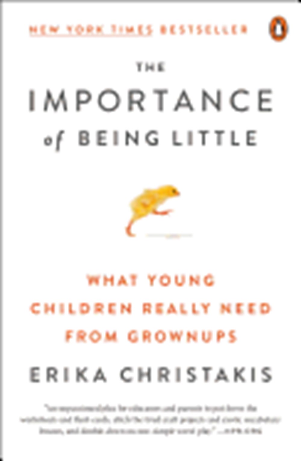 Importance of Being Little: What Young Children Really Need from Grownups
