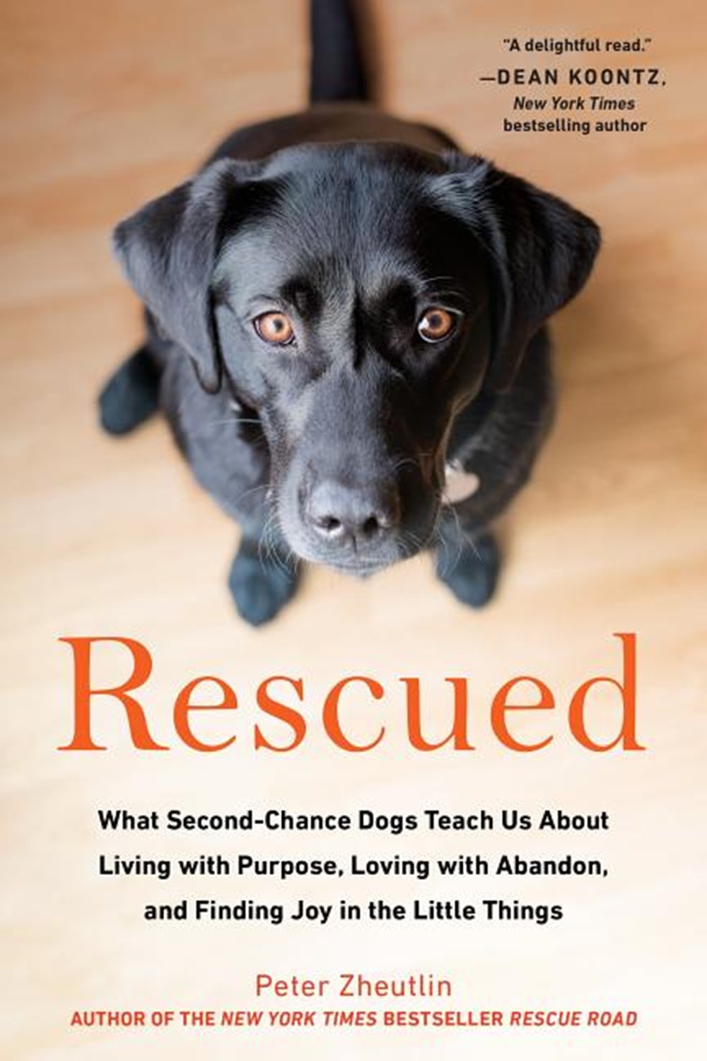 Rescued: What Second-Chance Dogs Teach Us about Living with Purpose, Loving with Abandon, and Findin