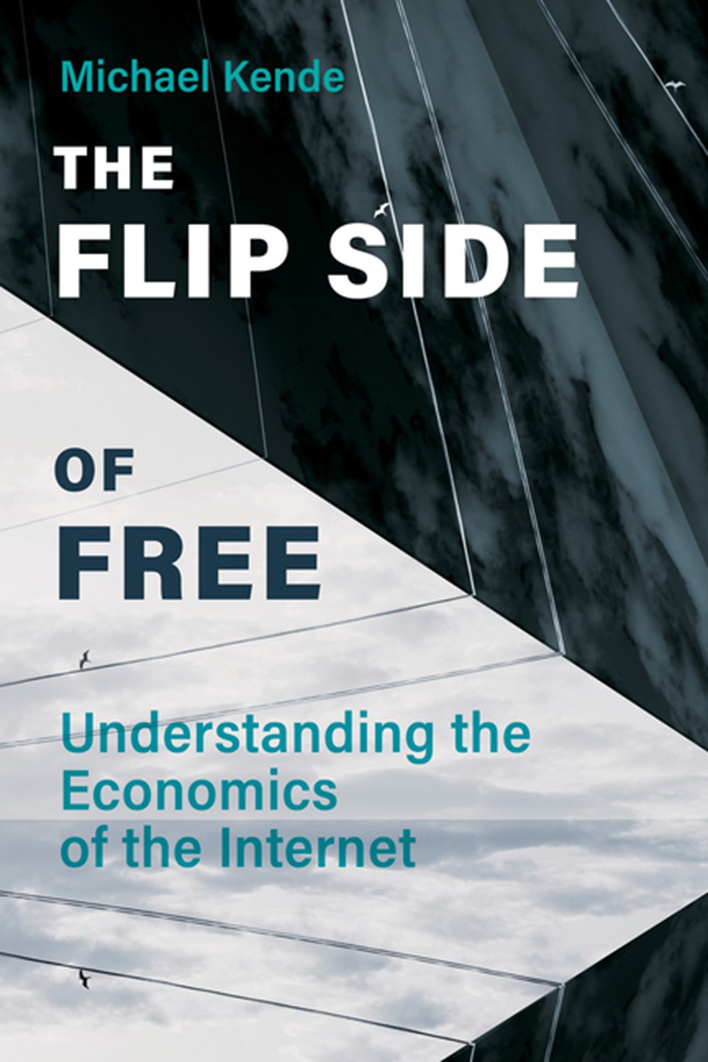 Flip Side of Free Understanding the Economics of the Internet
