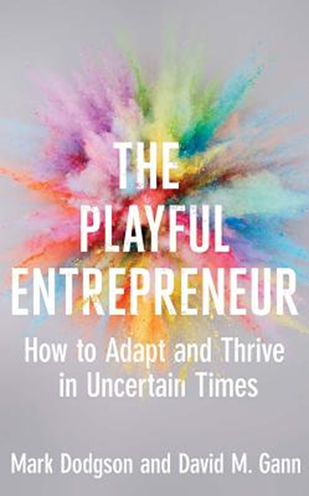 Playful Entrepreneur How to Adapt and Thrive in Uncertain Times