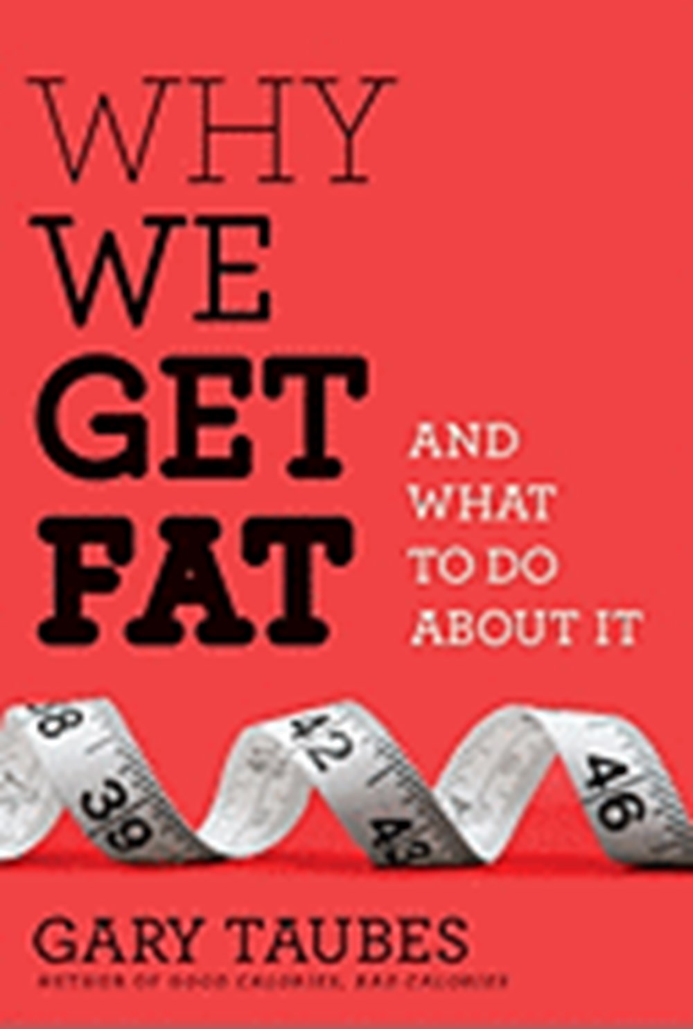 Why We Get Fat And What to Do about It