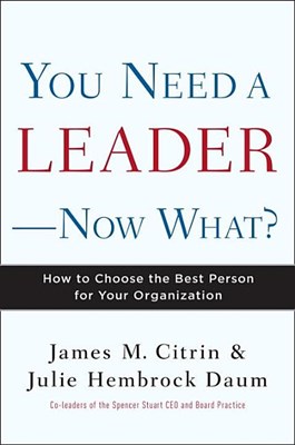  You Need a Leader--Now What?: How to Choose the Best Person for Your Organization