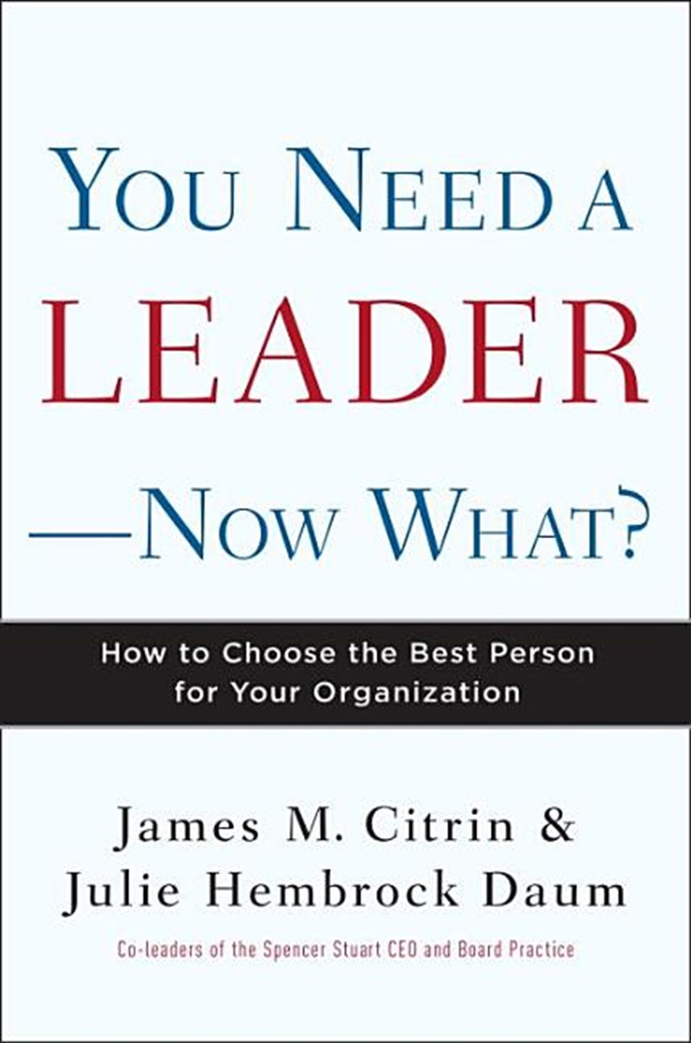 You Need a Leader--Now What? How to Choose the Best Person for Your Organization