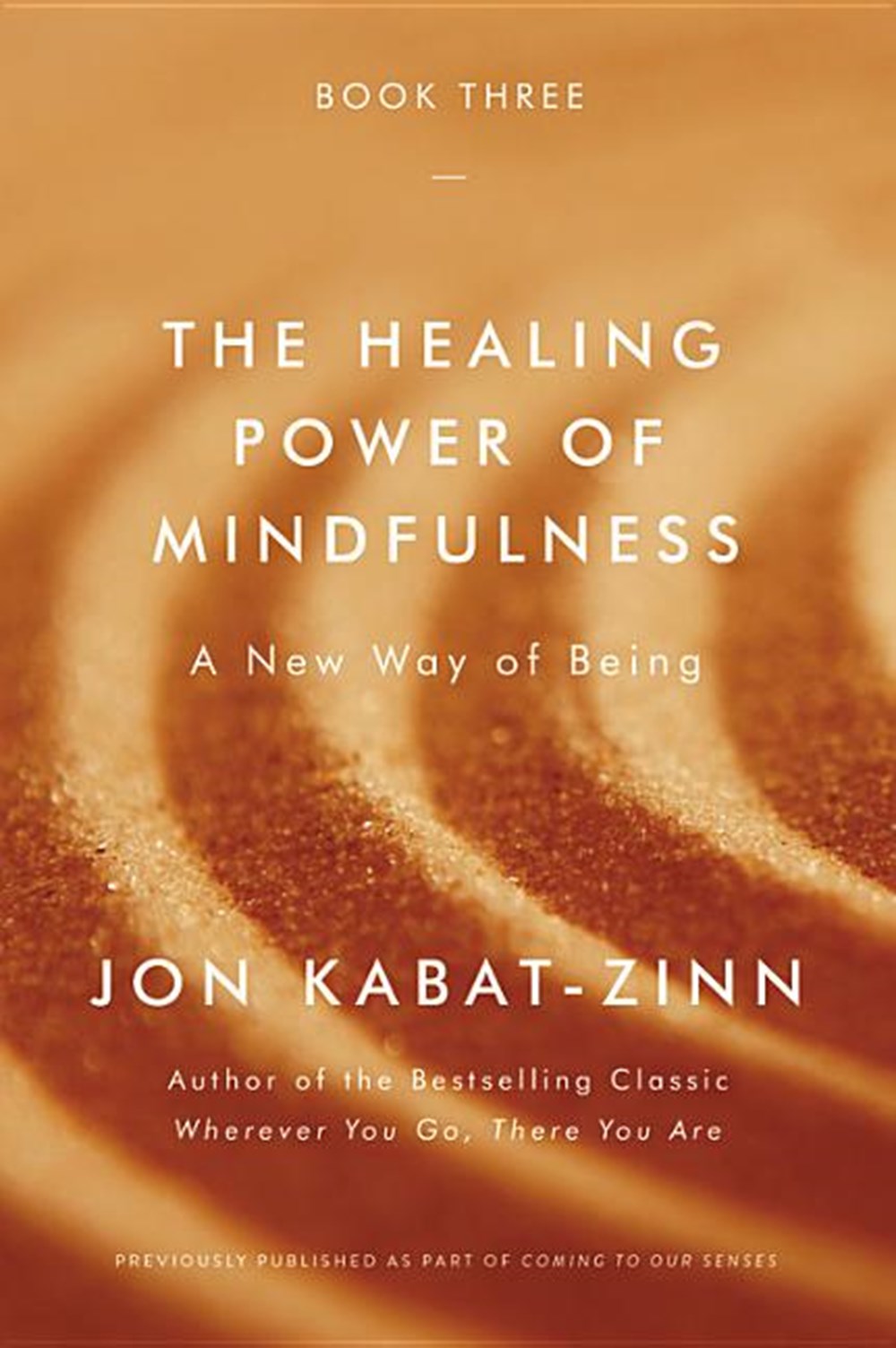 Healing Power of Mindfulness: A New Way of Being