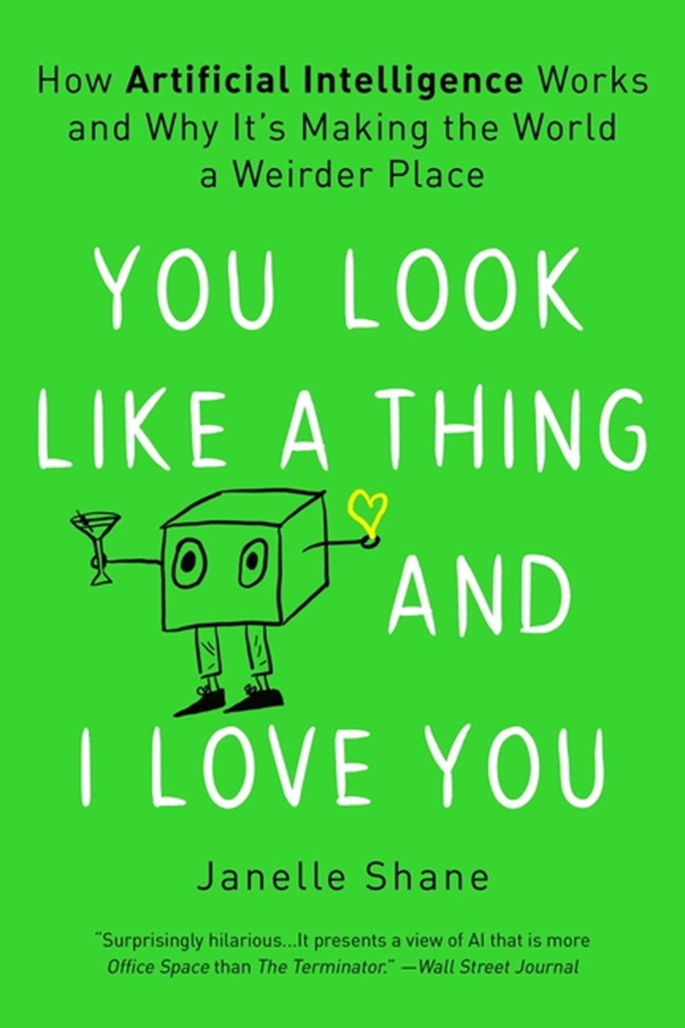 You Look Like a Thing and I Love You: How Artificial Intelligence Works and Why It's Making the Worl