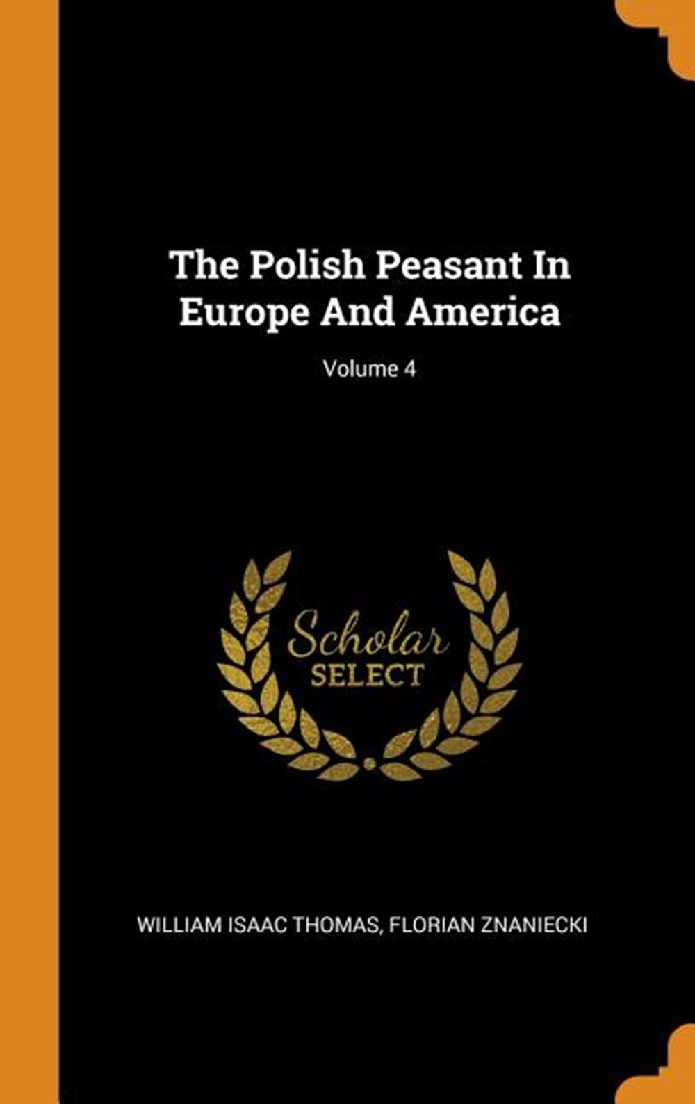 Polish Peasant in Europe and America; Volume 4