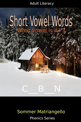  Short Vowel Words: What Vowel Is It? 3