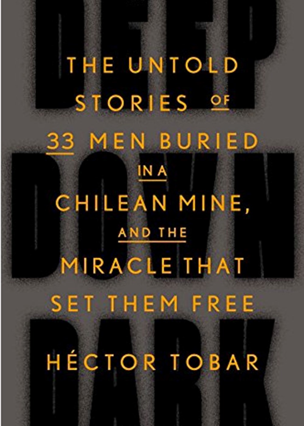 Deep Down Dark: The Untold Stories of 33 Men Buried in a Chilean Mine, and the Miracle That Set Them