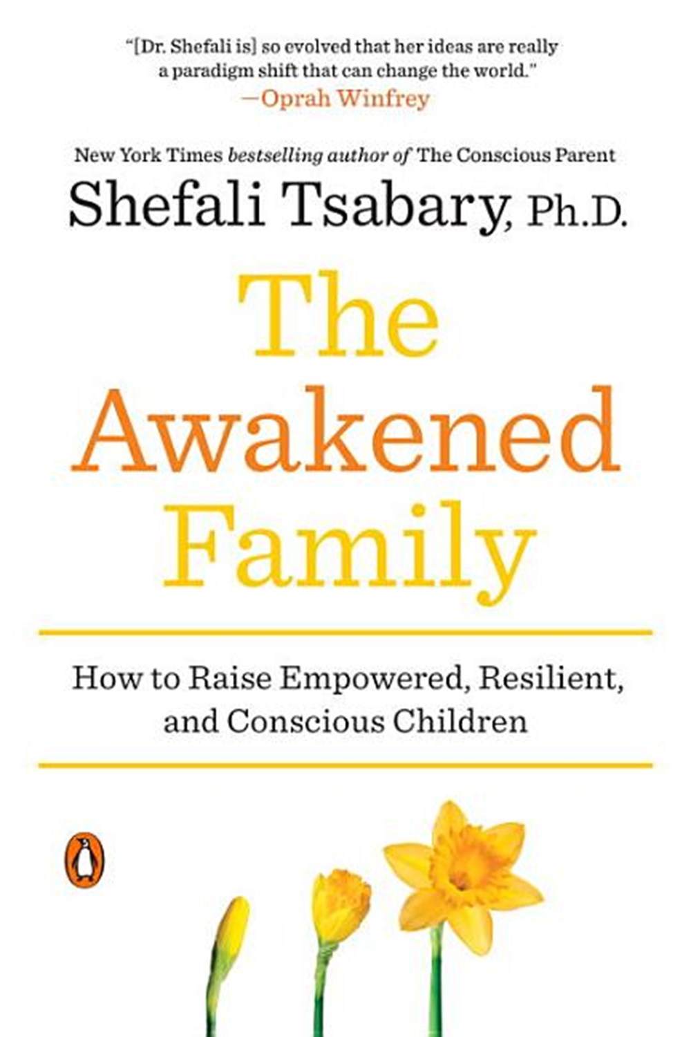 Awakened Family: How to Raise Empowered, Resilient, and Conscious Children