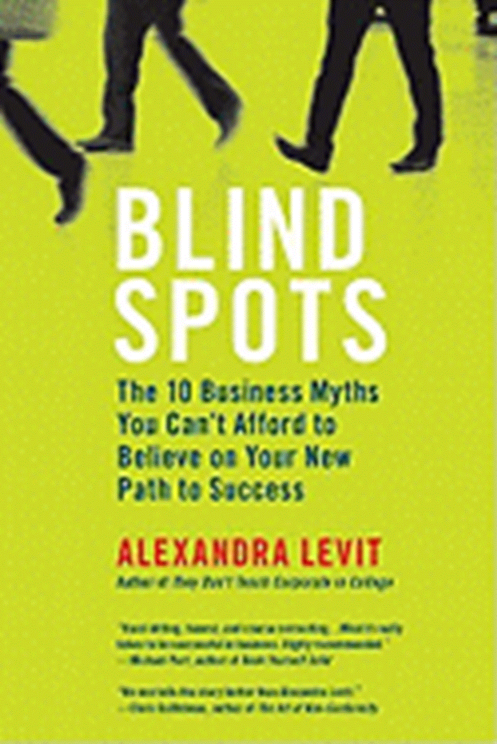 Blind Spots The 10 Business Myths You Can't Afford to Believe on Your New Path to Success