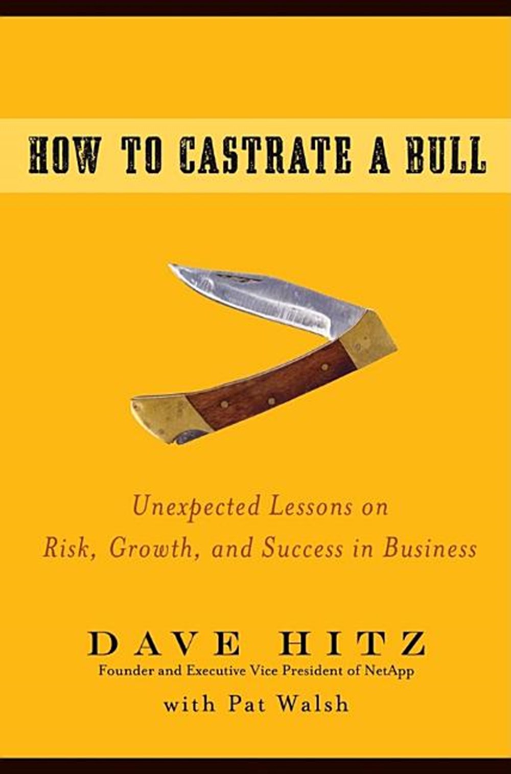 How to Castrate a Bull Unexpected Lessons on Risk, Growth, and Success in Business