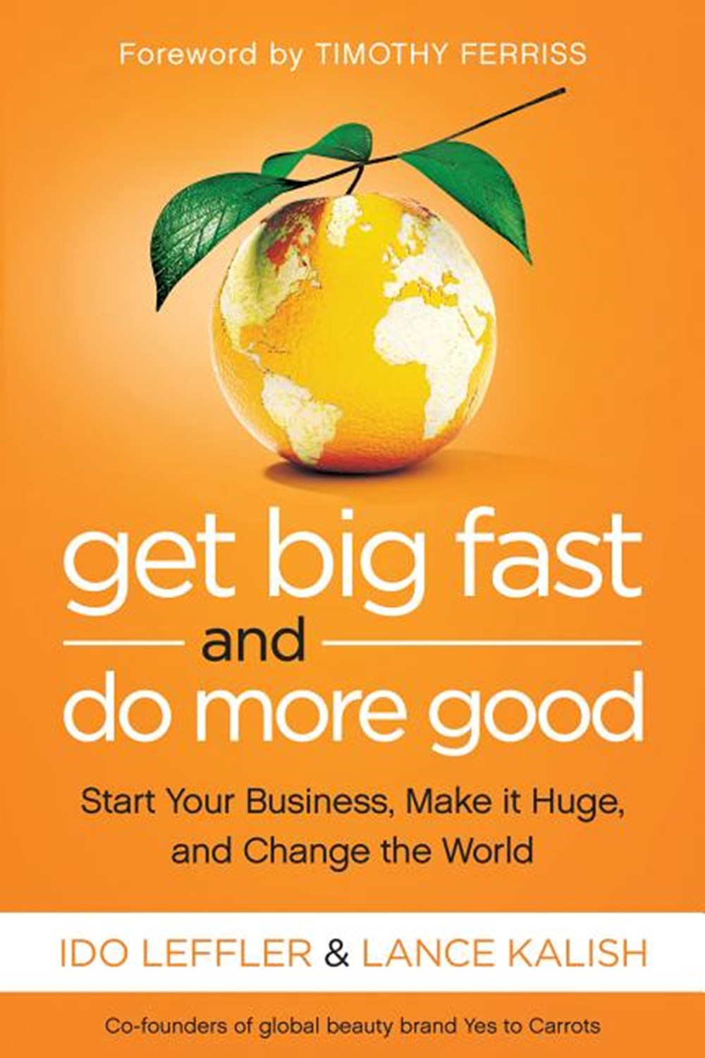 Get Big Fast and Do More Good Start Your Business, Make It Huge, and Change the World