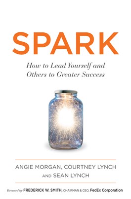  Spark: How to Lead Yourself and Others to Greater Success